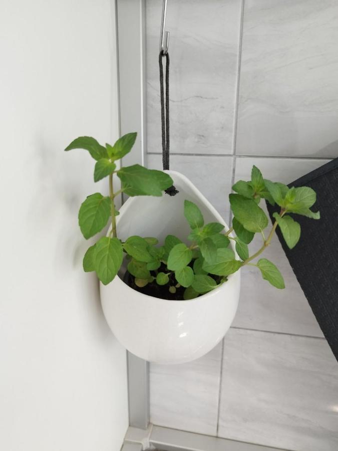 Antemma Apartment PUY Eksteriør bilde